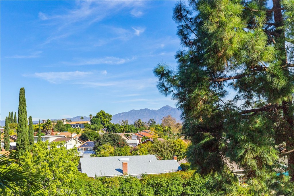 Vista Firenza (VF) - Residential Lease