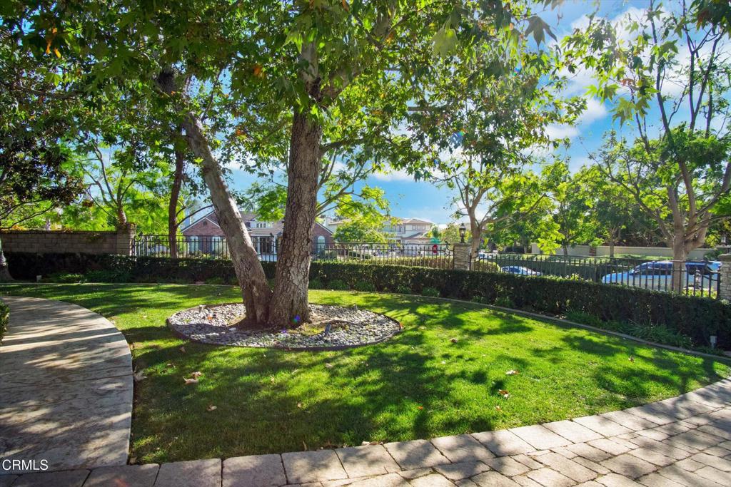2130 Rosa Vista Terrace Terrace