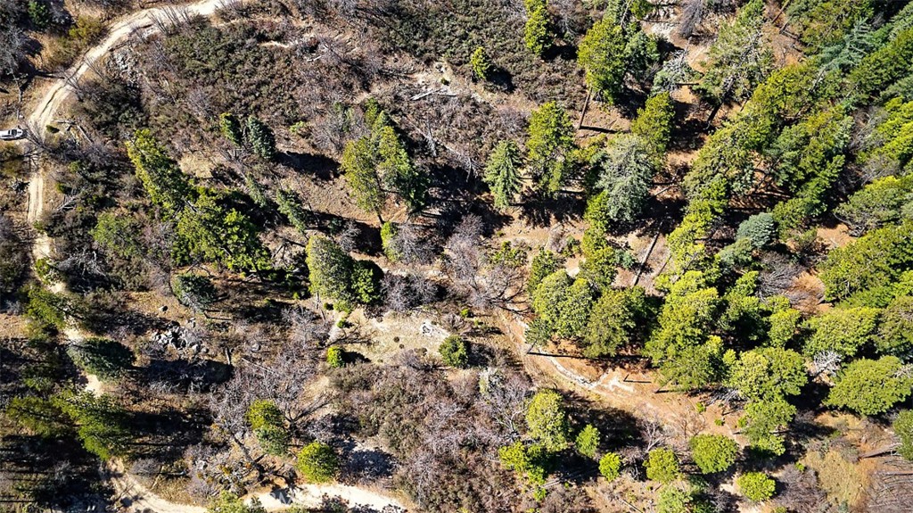 Cedar Glen (CEDG) - Land