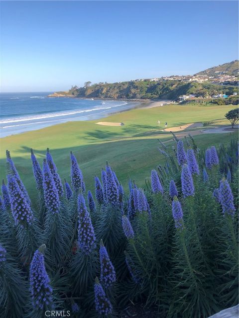 A home in Dana Point