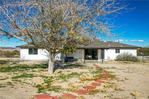 A home in Joshua Tree