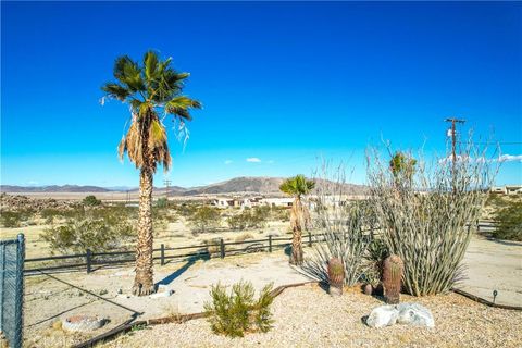 A home in Joshua Tree