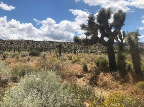 Photo of 0 Vac/Pearblossom Pav /Vic 160 S, Pearblossom, CA 93591 (MLS # JT23142055)