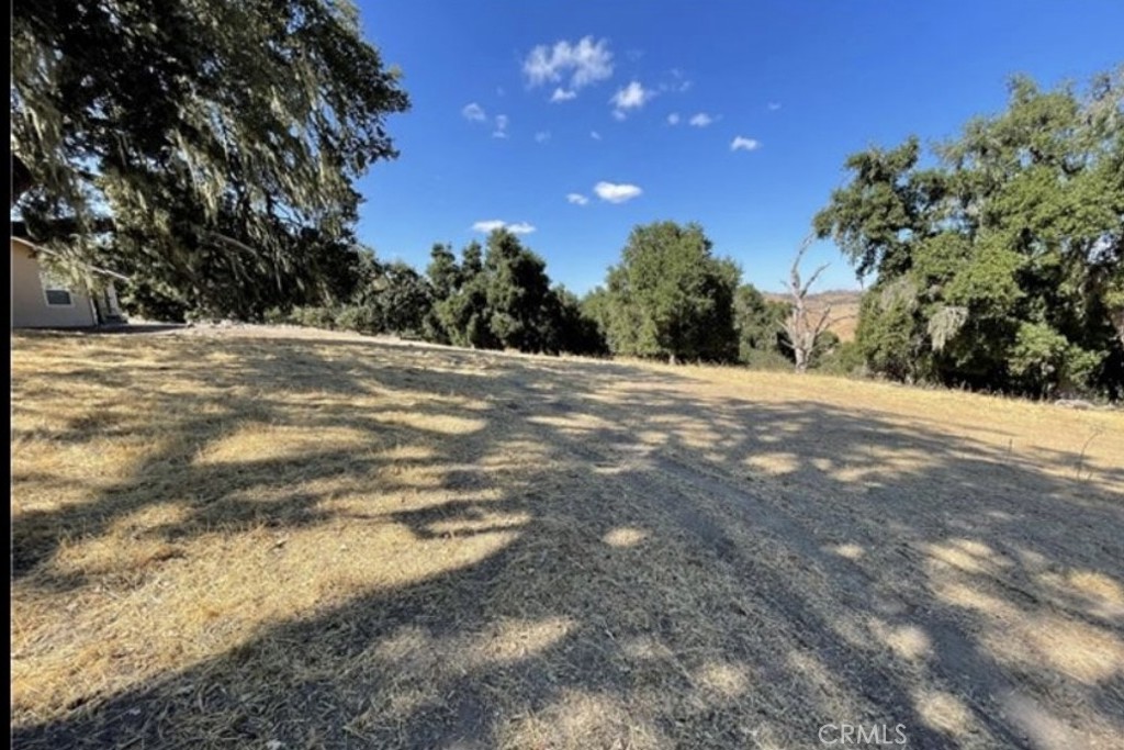 This wonderful large mostly level lot is located just inside the Bluegill Gate on the left, providing easy access. There are Large mature Oak trees
scattered about. This convenient parcel backs up to greenbelt in the rear. Plenty of room to build a large home with a garage or barn big enough to store all your Toys. Older perc test may be available forthe septic system that will supply sewage disposal. Water meter available for a fee through heritage Ranch community services district which provides water service. Power, telephone and cable are located at the street in front of the lot.