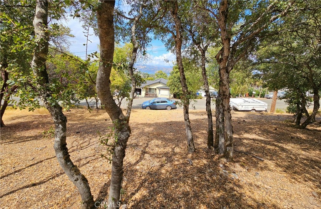 9599 Timberline Court