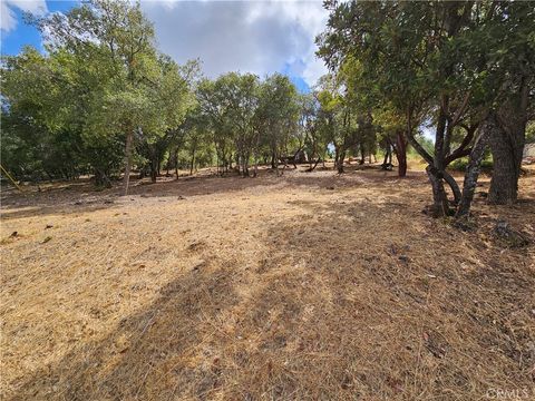 Photo of 9599 Timberline Court, Kelseyville, CA 95451 (MLS # LC24178368)