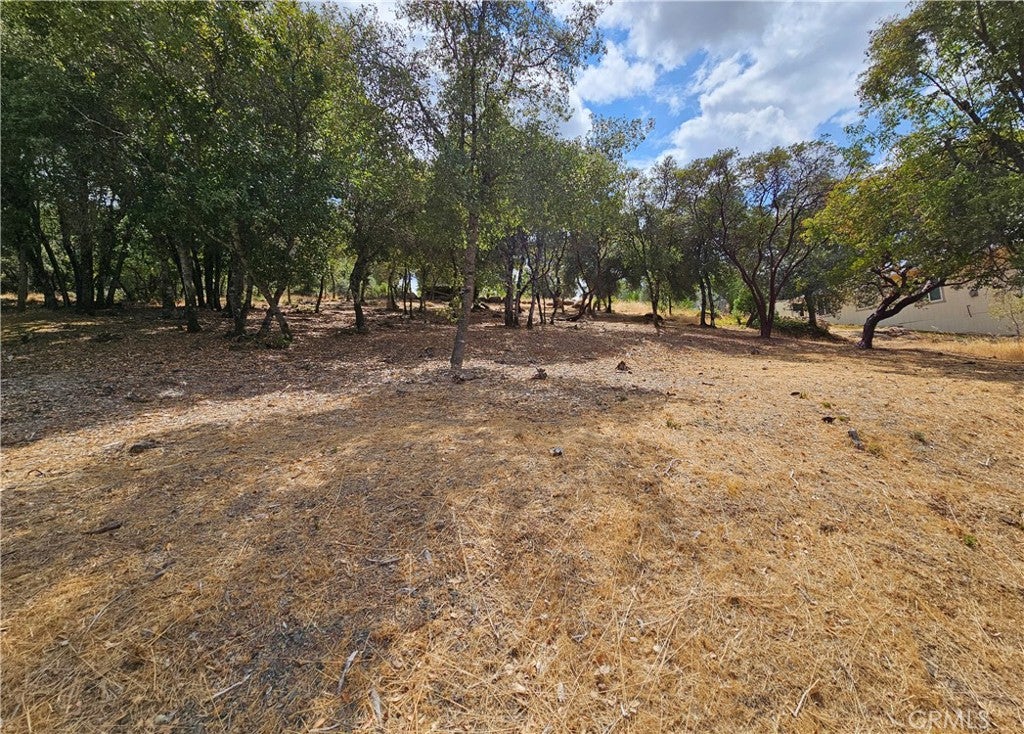 9599 Timberline Court