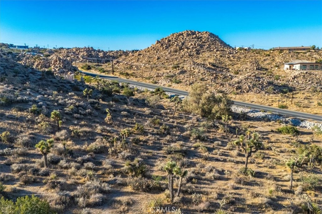 596 Buena Suerte Road