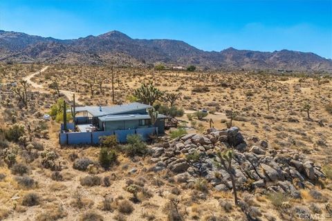 A home in Joshua Tree