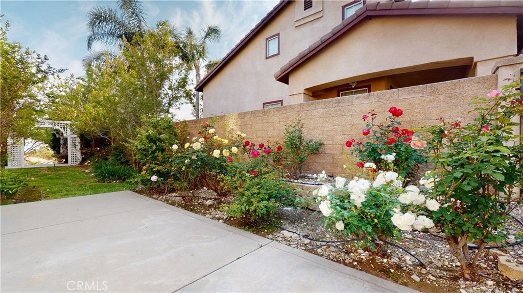 listing image 130725533653439400205