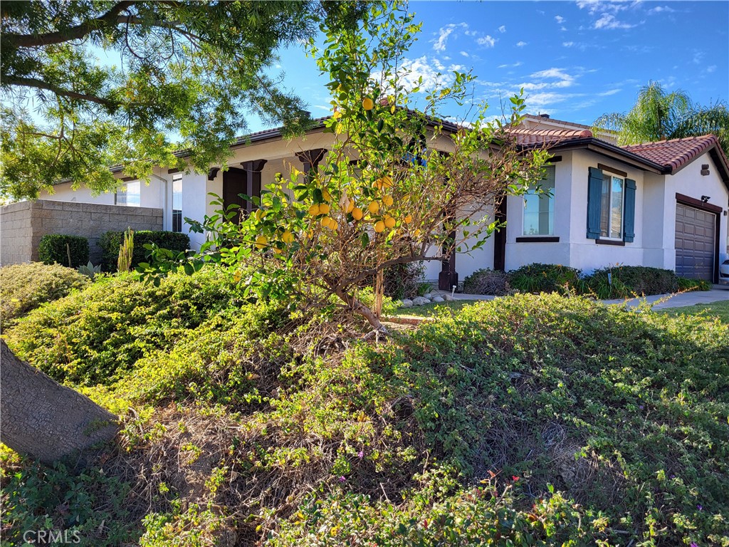 29367 Lytle Lane