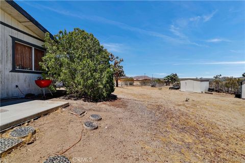 A home in Joshua Tree