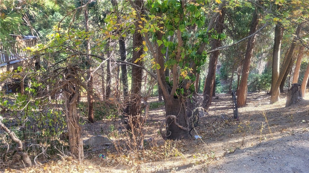 Large view lot in this beautiful city of Crestline- there is water and sewer on the street and many houses close by. Short drive to stores, lakes and restaurants. Bring your Architect and build your dream home.