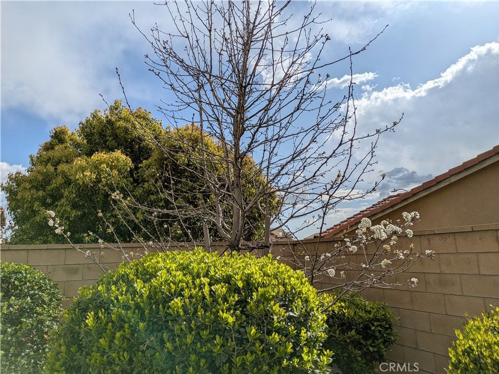 listing image 41