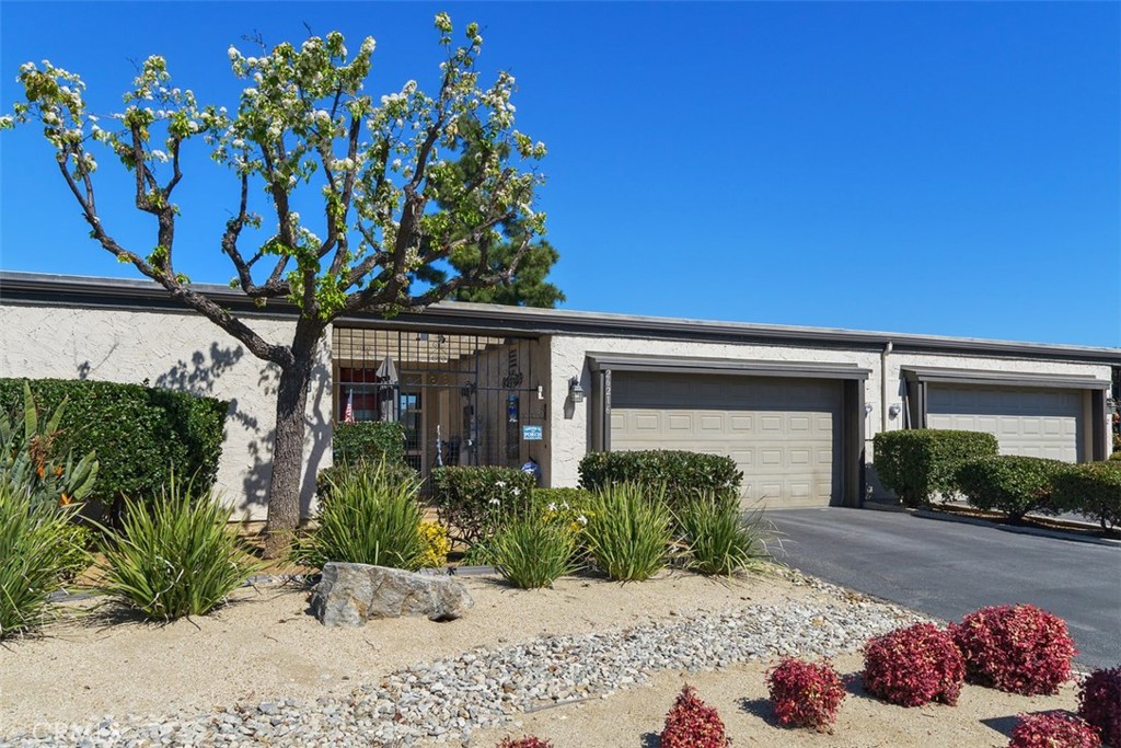26216 Birkdale Road