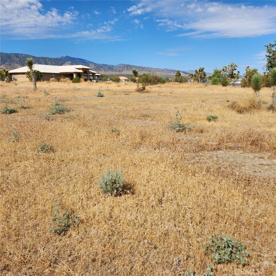0 Arena Road
