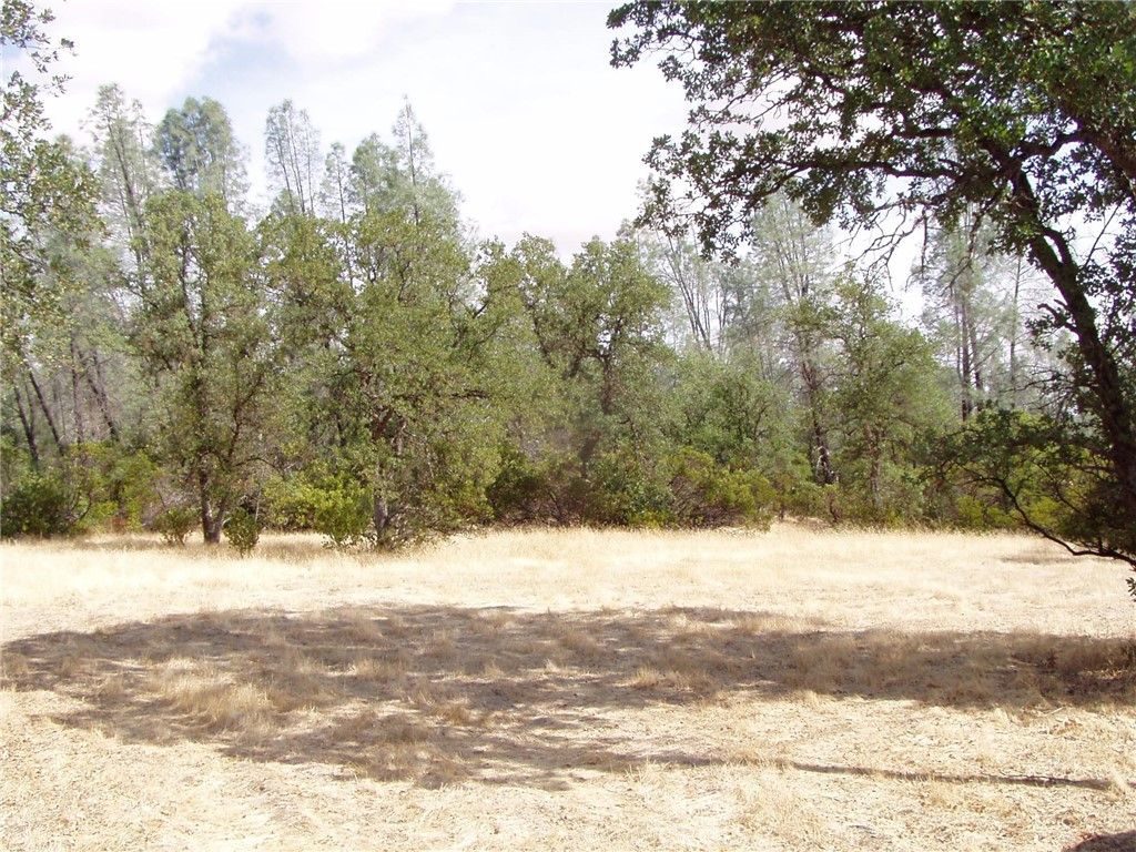 listing image 130720434576084755274