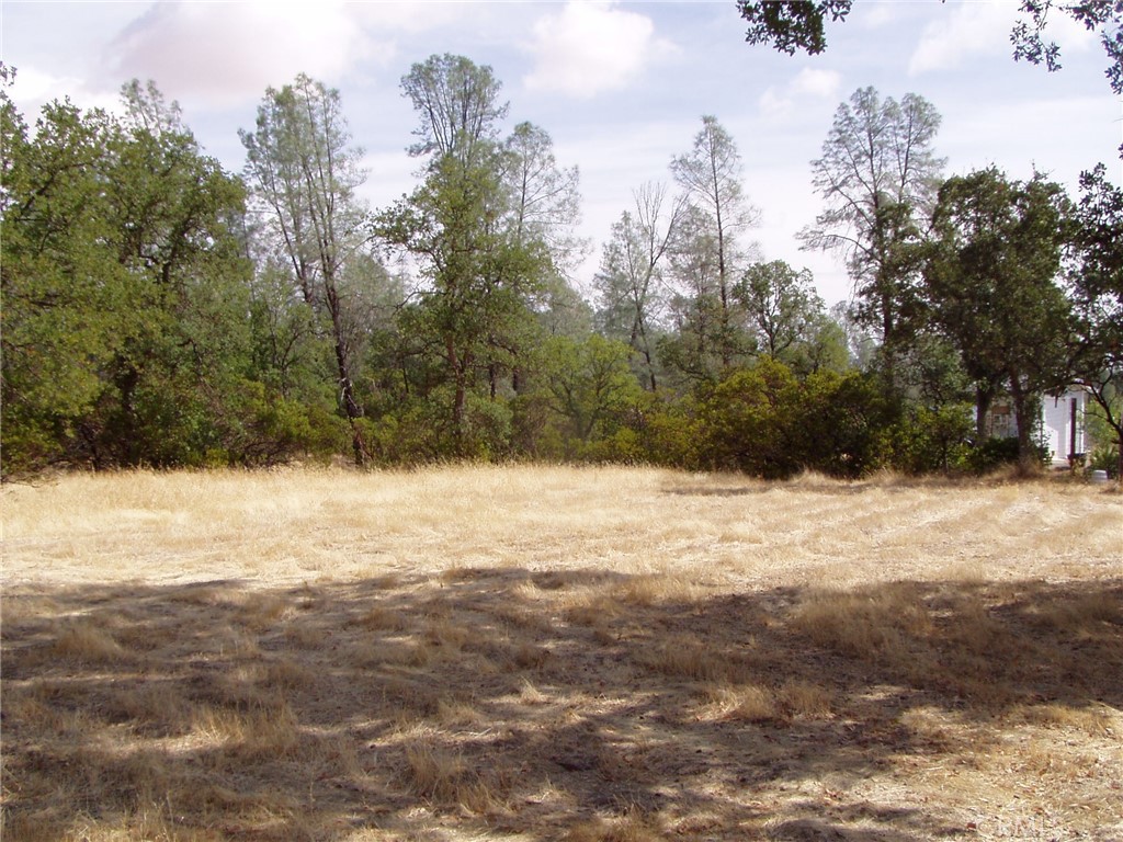 JUST OVER 1 ACRE LOT AT THE END OF STREET. FLAT LOT THAT NEEDS A LITTLE CLEARING!!