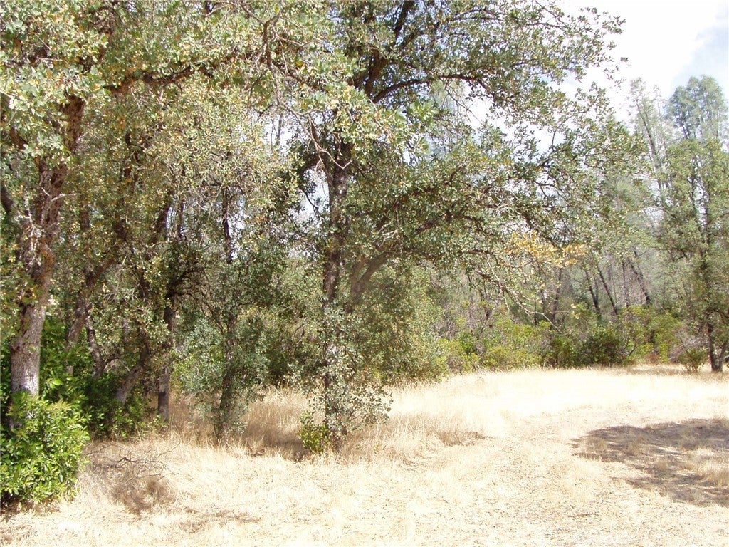 15838 El Dorado Drive