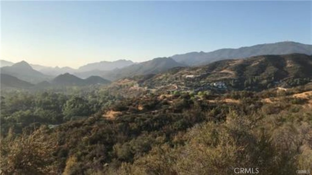 0 Triunfo Canyon Road
