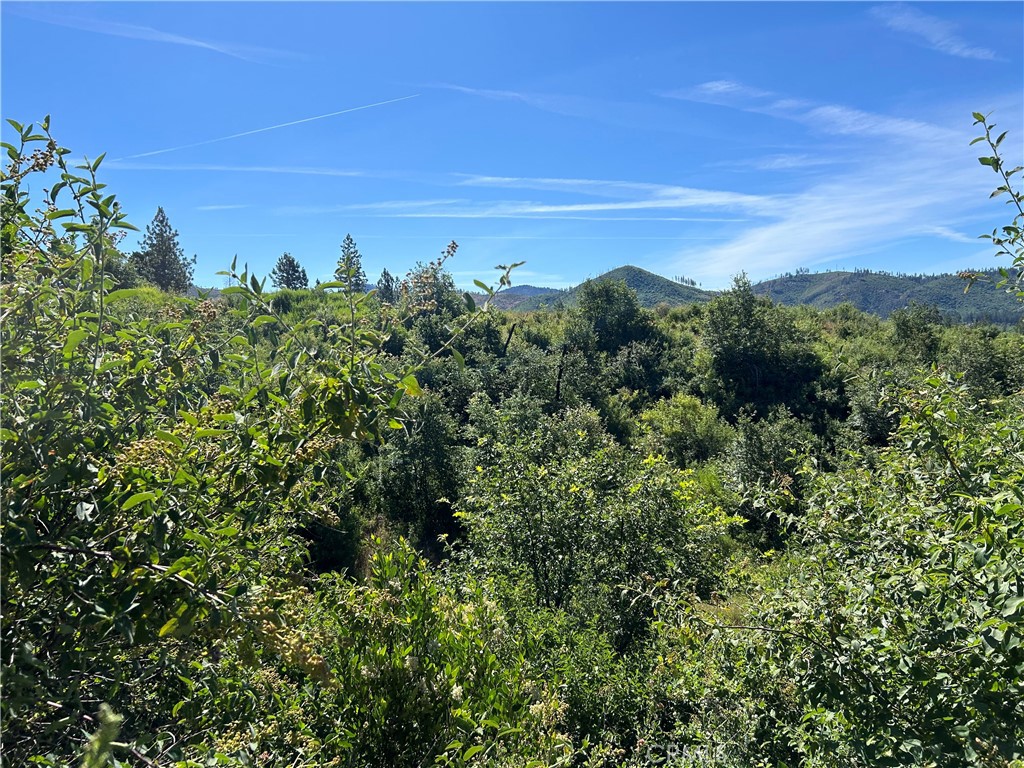nice lot with lots of open space and views