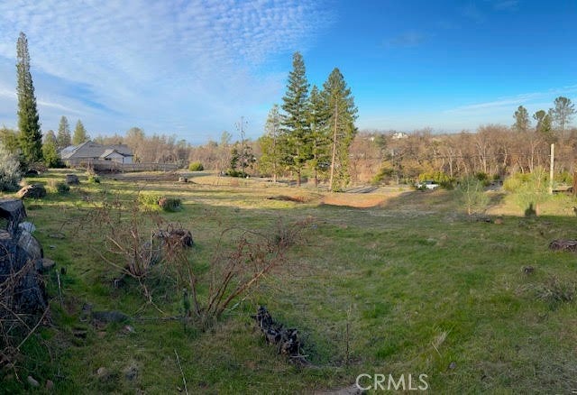 300 Redbud Drive
