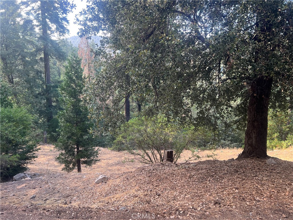 Discover the perfect opportunity to build your dream home in the midst of nature. This beautiful 13,288 SQ FT forest lot offers a serene and picturesque setting, complete with a variety of trees and pockets of flat land, providing both natural beauty and functional space. Nestled within a peaceful forest, this property provides a tranquil escape from the hustle and bustle of city life. The lush greenery and mature trees create a sense of privacy and seclusion, allowing you to immerse yourself in the calming ambiance of nature. With the generous lot size, there is ample potential to design and construct your ideal residence. Weather you envision a cozy cabin or a contemporary retreat, the options are endless. The combination of trees and flat areas on property grants flexibility for landscaping and outdoor activities, making it a perfect canvas for your imagination. Located in a desirable area, this forest lot offers a harmonious blend of natural surroundings and convenient access to essential amenities. Embrace the opportunity to create your own private oasis and experience the joy of harmonizing with nature. Don't miss out on this rare chance to own a piece of paradise. Contact us now to seize this extraordinary property and embark on a journey of tranquility and serenity. There is a temporary water meter moratorium in Cedar Pines Park due to a drought. The water company says it is temporary.