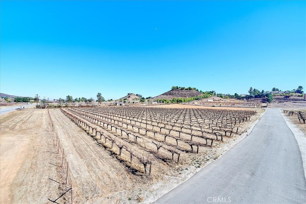 Nestled in the heart of Murrieta’s esteemed wine country, 38680 Avenida De Felicidad offers an unparalleled opportunity to create your dream vineyard estate. Spanning 5.3 pristine acres just 8 minutes from the freeway, this remarkable property is fully prepared for immediate development, saving you nearly two years of time and $300K in due diligence costs. Included in the sale are approved plans for an expansive, stunning custom 4,200 sq. ft. estate, along with a permitted well, an installed water meter, and completed grading, engineering, surveys, and topographic maps. The grading was professionally executed, and permits are ready to issue, allowing construction to commence without delays. Adding to its allure, 3 acres of thriving Cabernet grapevines are already in place, making this an exceptional opportunity for wine makers and connoisseurs alike. Imagine waking up to breathtaking vineyard views, crafting your own wine, and embracing a lifestyle of luxury and tranquility. Why wait years for approvals when you can start building today? Offered at $725K, this estate is an extraordinary find.