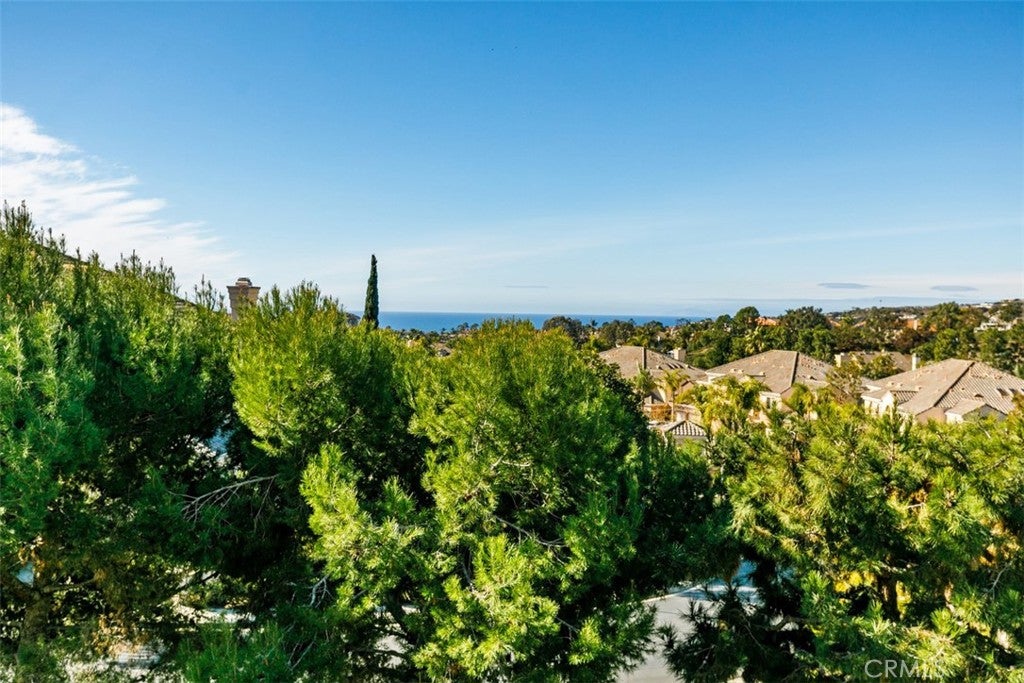 198 Shorebreaker Drive, Laguna Niguel CA 92677 - Photo 34