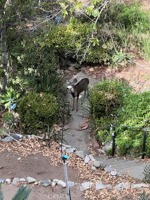 A home in Tujunga