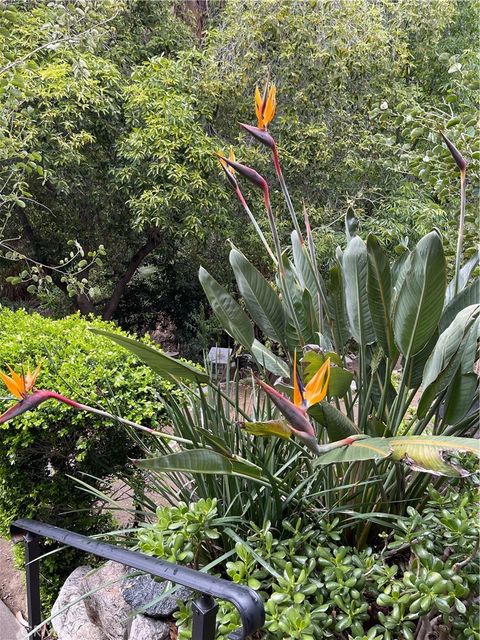 A home in Tujunga