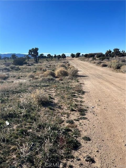 Photo of 0 Tricobble Court, Phelan, CA 92371 (MLS # HD25067656) Photo of 0 Tricobble Court, Phelan, CA 92371 (MLS # HD25067656)