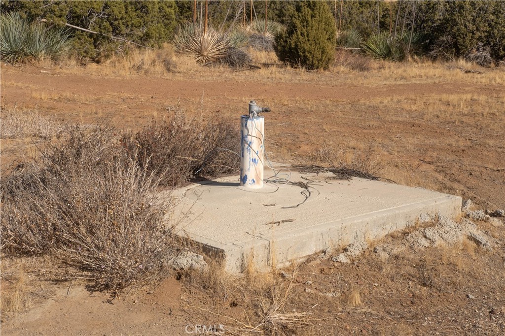 Custom Acton (CACTO) - Land