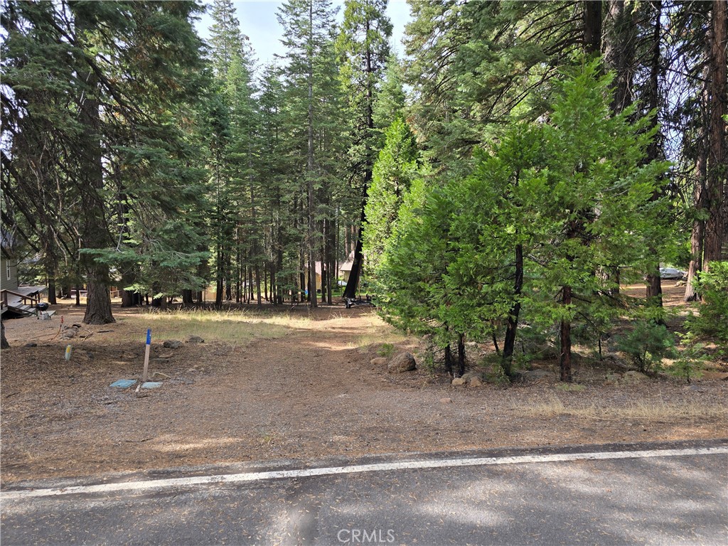 615 Clifford Trail