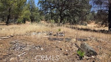 Corner Lot, Near Feather River. Golden Opportunity!! Great Corner lot. Not far from paved road and close into town! Additional bonus is a separate lot across the road that is included in the sale, bringing total acreage to .46 acre. Main lot APN 033-034-011. Additional lot APN 033-041-003