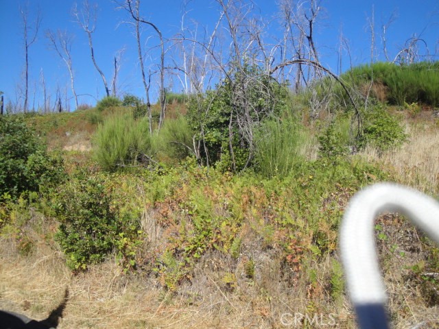 One of Three Lots available at Lake Madrone in the Meadow Area behind the 3rd Gate. Not far from Lake Oroville which has 167 Miles of Shoreline for all types of recreation. Great opportunity while the prices are low to purchase building site at gated community. Located at the 2200 foot level for cool summer days and nights. Perfect distance from Sacramento or Bay Area to enjoy on weekends. Buy this with friends and build your weekend getaway. Beautiful Area for weekends or live all year round. Two other lots available contiguous to this lot. Buy all three with friends or for yourself and enjoy. PICTURES OF GATE ENTRANCE, BEACH AND LAKE ARE NOT VISIBLE FROM LOTS BUT WITHIN VERY SHORT WALKING DISTANCE!