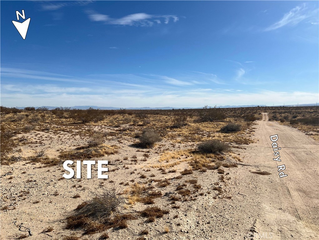 0 Daisy Road