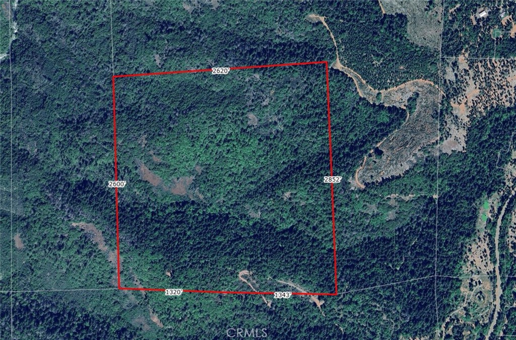 Enjoy a total of beautiful 160 acres of land.