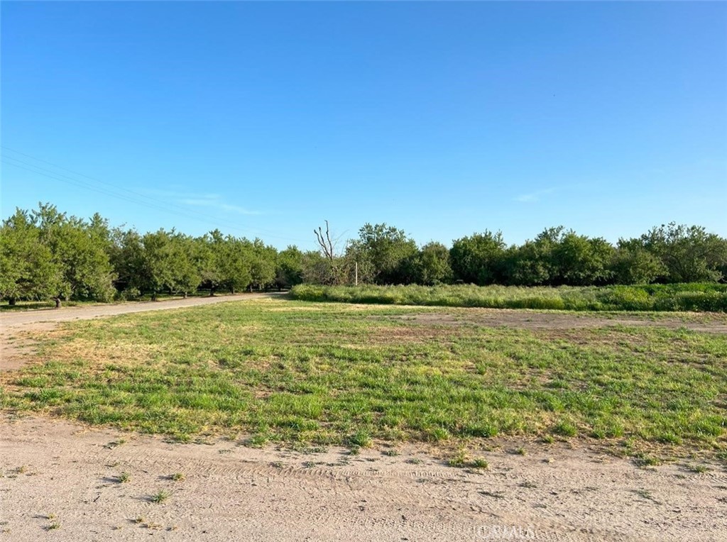 View Chowchilla, CA 93610 property