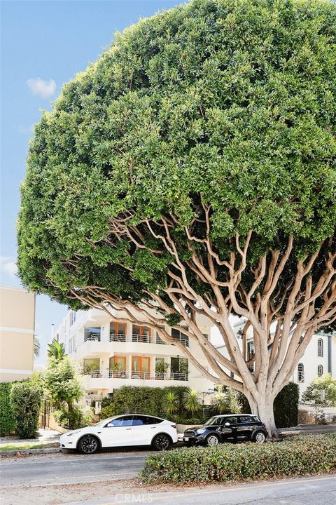 A home in Santa Monica