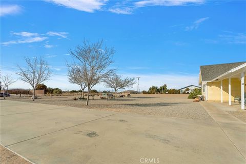 listing image 50