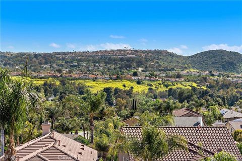 A home in Laguna Niguel