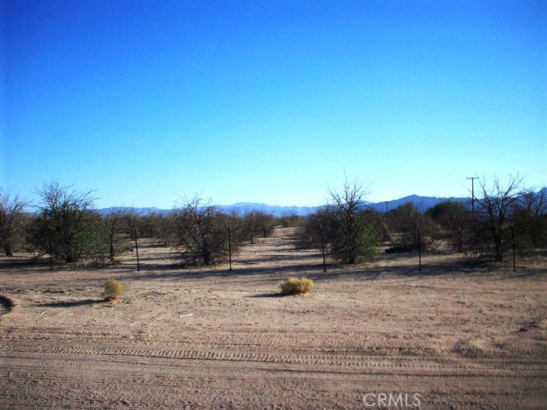 This Ten acres has a fence, well and at one time grew Pistachio trees. Some of them can be saved in my opinion as the pistachio tree can be dormant for years. A Pistachio Grove is nearby that's still in business. There is a dry lake over one acre grandfathered in as there are no more permits for lakes given out by the water agency. A cement pad is here and also a cement structure which looks like it had water in it at one time. Electric access is available. A fence surrounds the property. There is also another entrance on Bedford were the property meets on the South end. Secluded yet close to the main Frwy I-15 about five minuets. Located across from Lake Jody community.
Newberry Springs is sandwiched between the I-15 and the I-40 about two hours before Las Vegas or Laughlin. We grow pistachios, Alfalfa, pomegranate and grapes also grow well here. Livestock, cows, sheep and horses. TWo Bars, Family Center, Community Center, community garden and two schools with individual attention to their students. Churches of many denotations available. Jobs are thirty minuet's away in Barstow or one hour to Military Base, Apple Valley, Victorville and Hesperia.
For entertainment, we hike, AtV, dirt bike, ride horses or just sit around with our friends looking at the open sky and stars in the evening like I do. Come on out and see us sometime.