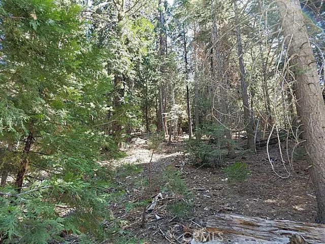 Arrowhead Woods - Land