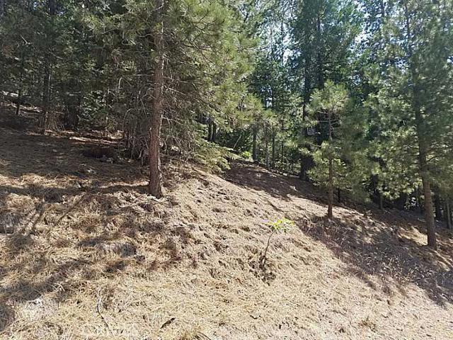 Arrowhead Woods - Land