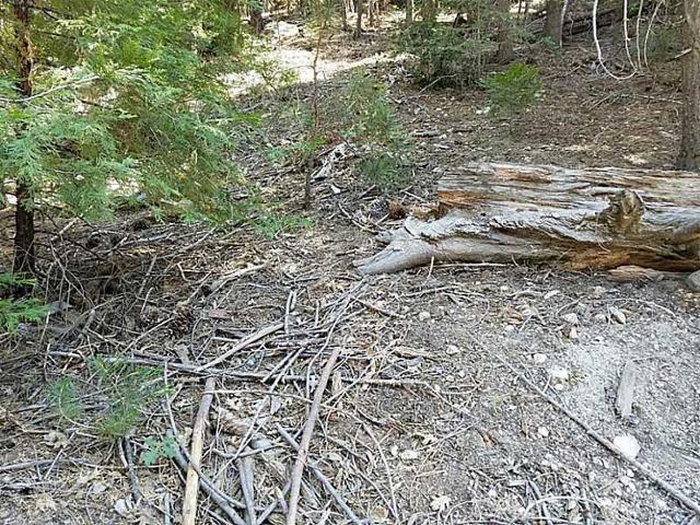 Arrowhead Woods - Land