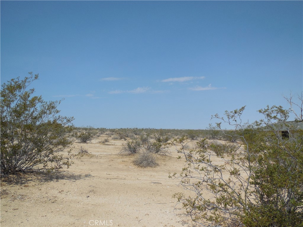 8130 Mesquite Springs Rd