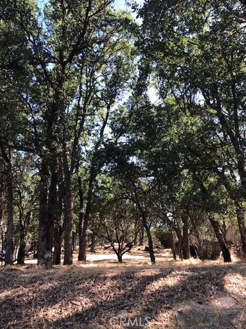 Photo of 19200 Moon Ridge Road, Hidden Valley Lake, CA 95467 (MLS # LC24152202)