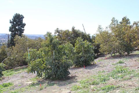 A home in Camarillo