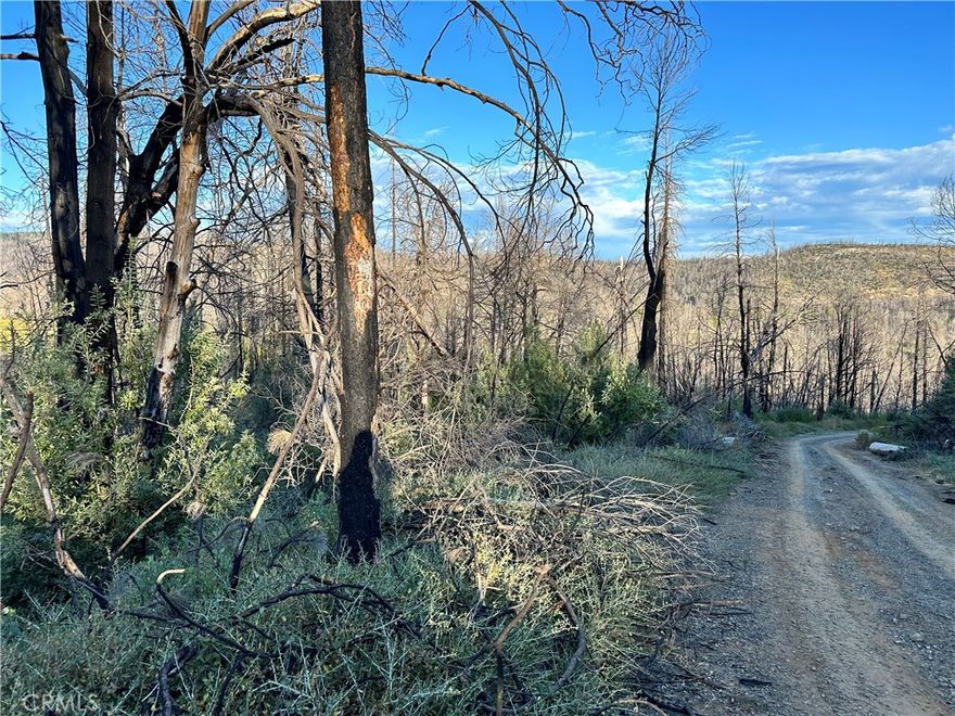 Discover your own piece of paradise with this breathtaking 7.37 acre vacant land in the serene community of Berry Creek, California. Nestled near the picturesque Lake Madrone, this property offers the prefect blend of natural beauty and tranquility. Whether you're looking to build a custom home, a vacation getaway, or invest in land with great potential, this property offers endless possibilities.